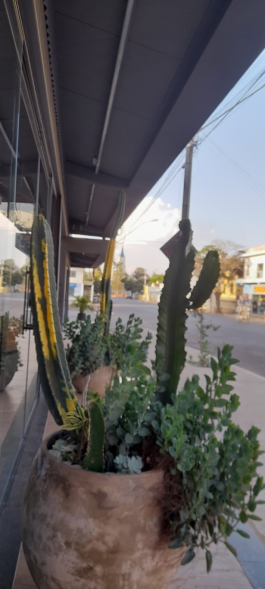 Pizzaria Atitude Photos 2